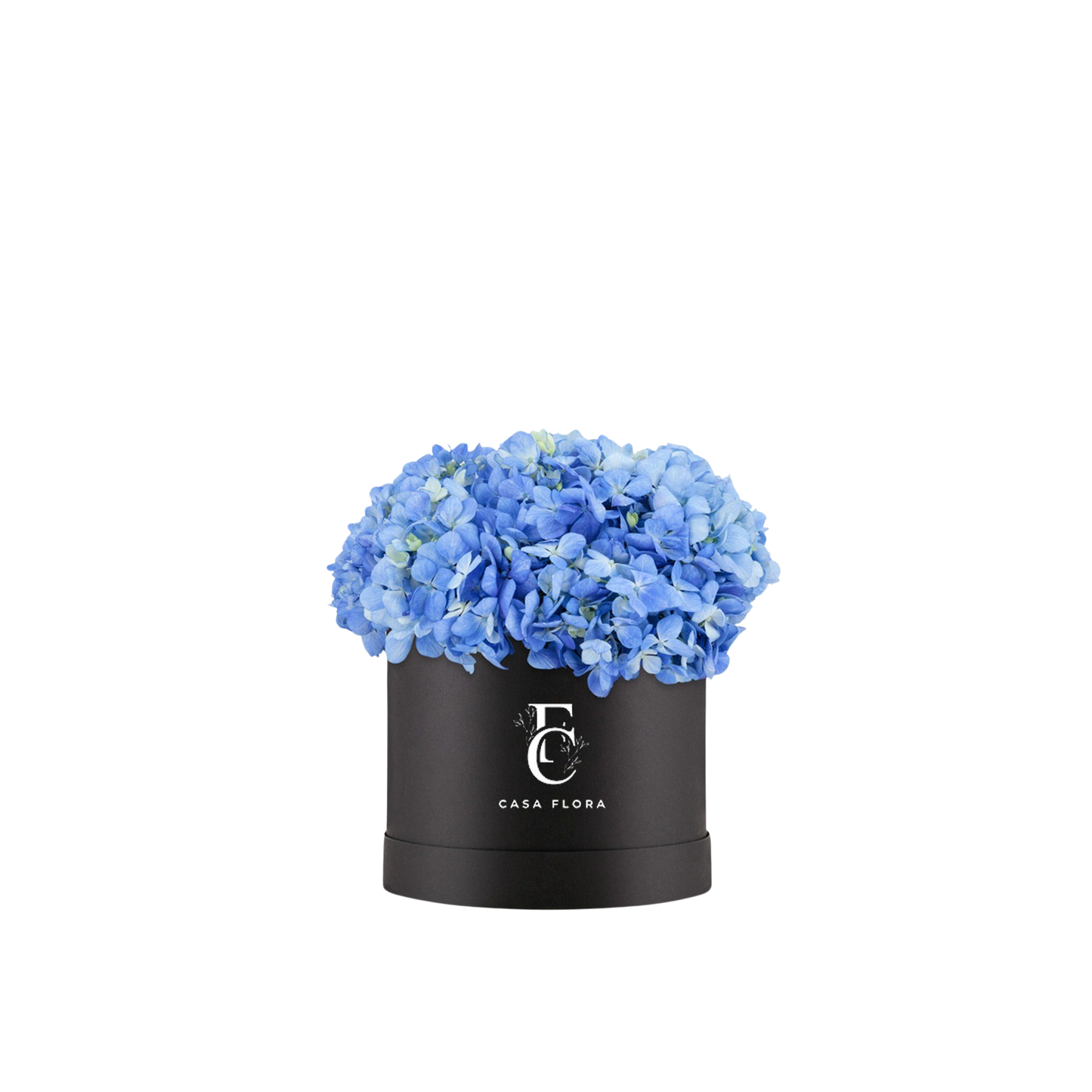 Blue Hydrangeas Box B Large