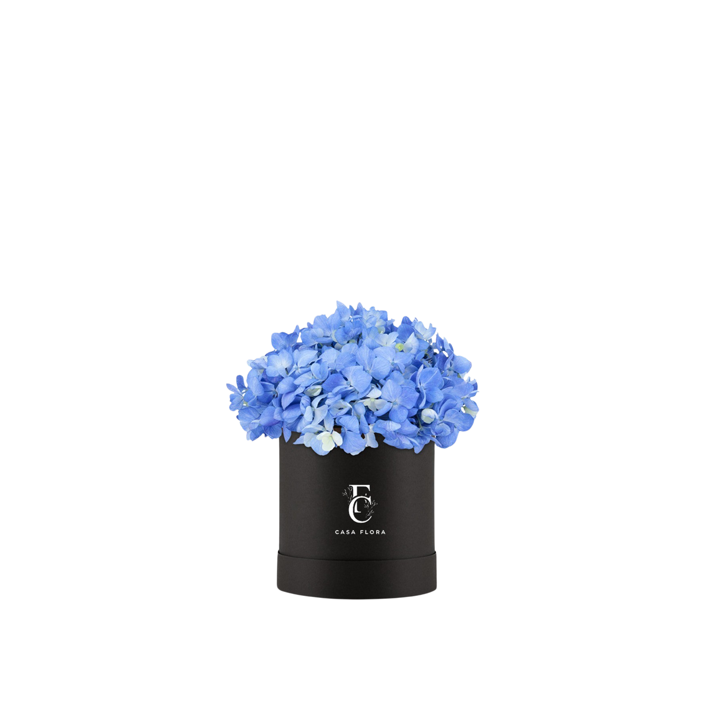 Blue Hydrangeas Box B Medium