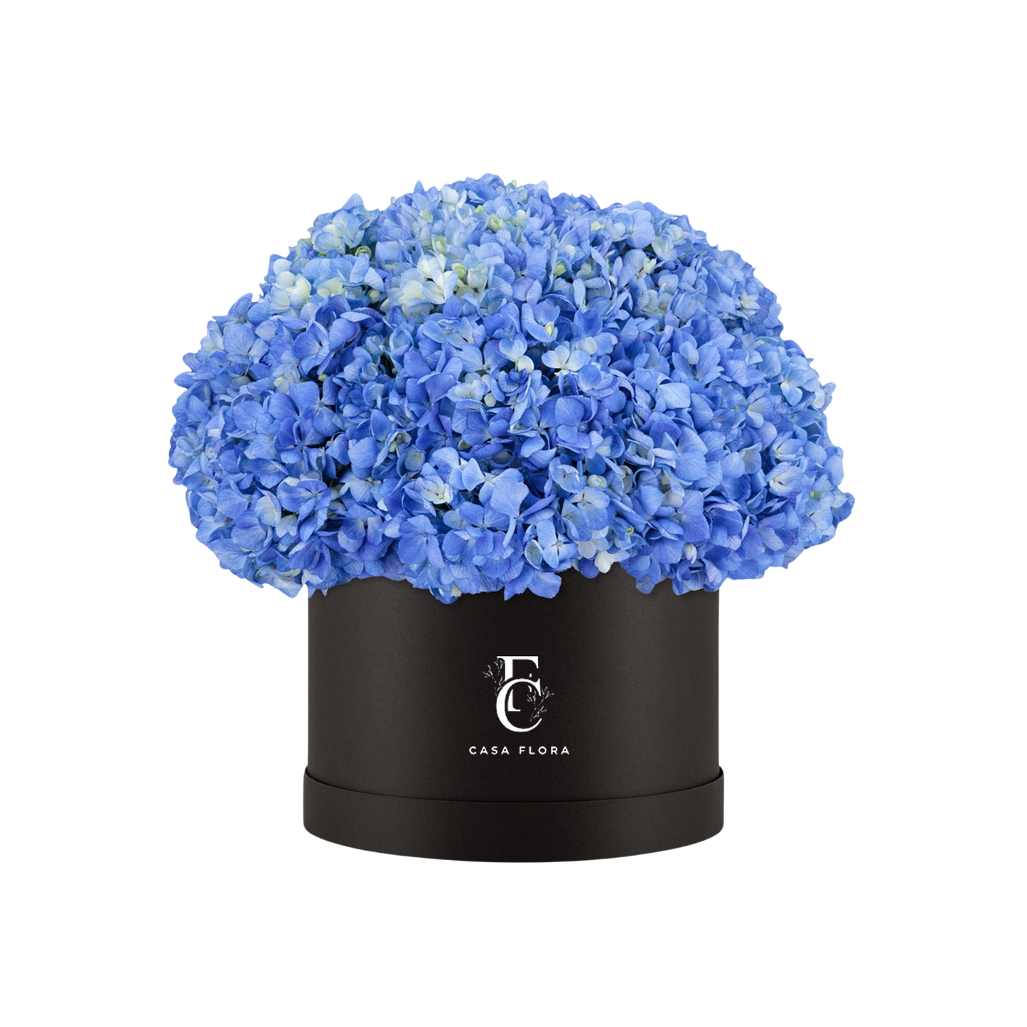 Blue Hydrangeas Box B X-Large
