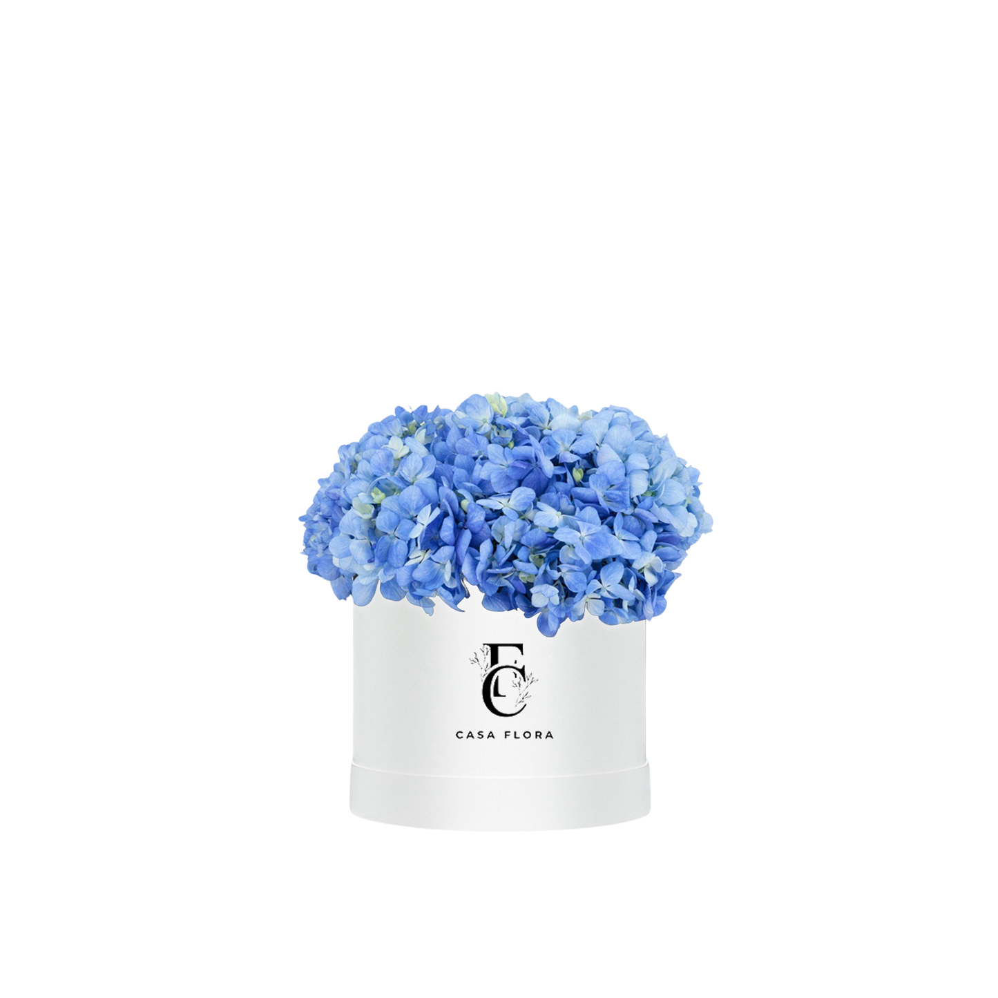 Blue Hydrangeas Box W Large