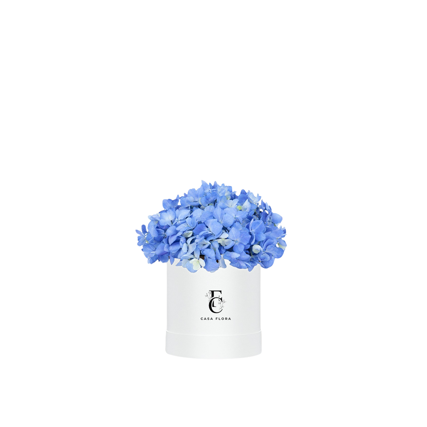 Blue Hydrangeas Box W Medium