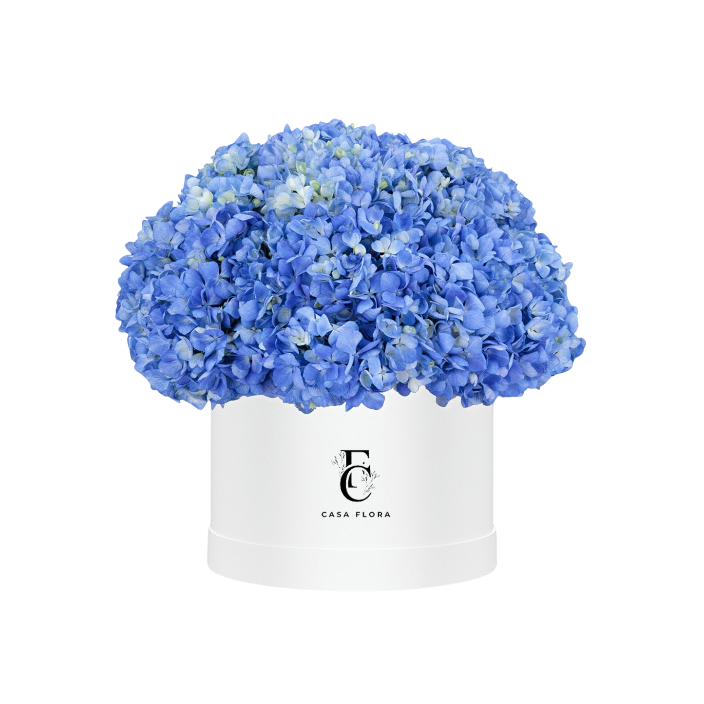 Blue Hydrangeas Box W X-Large