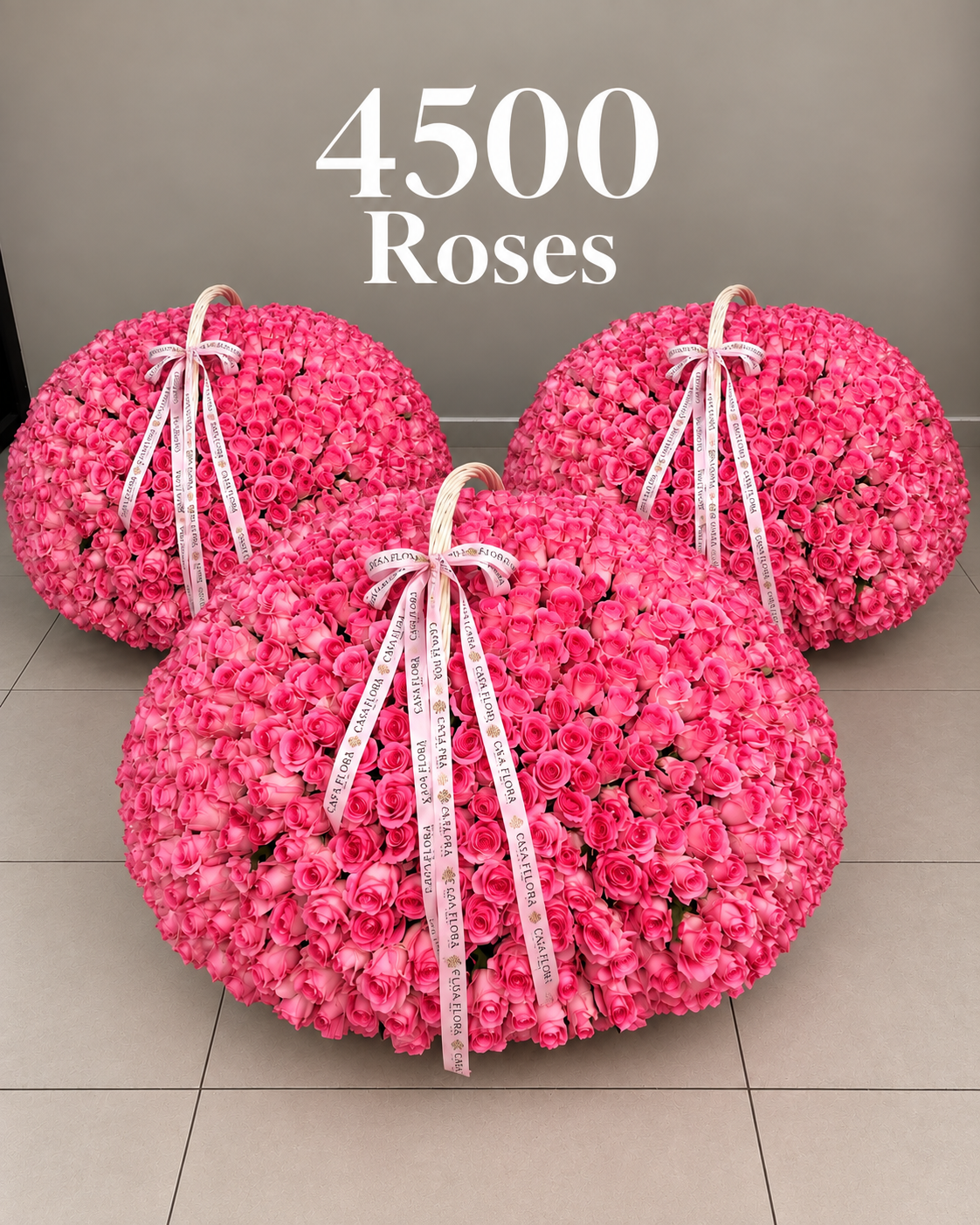 4500 MEGA Baskets