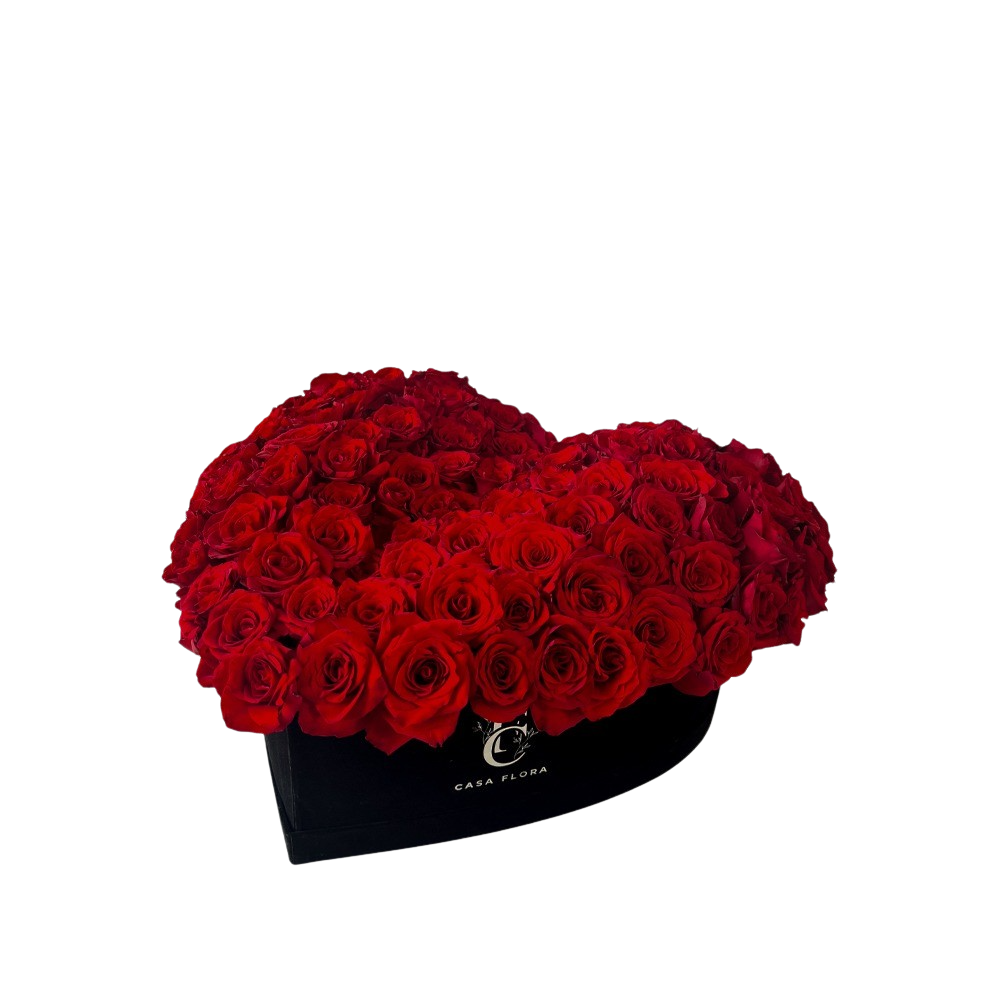 Forever Yours X Large CASA FLORA