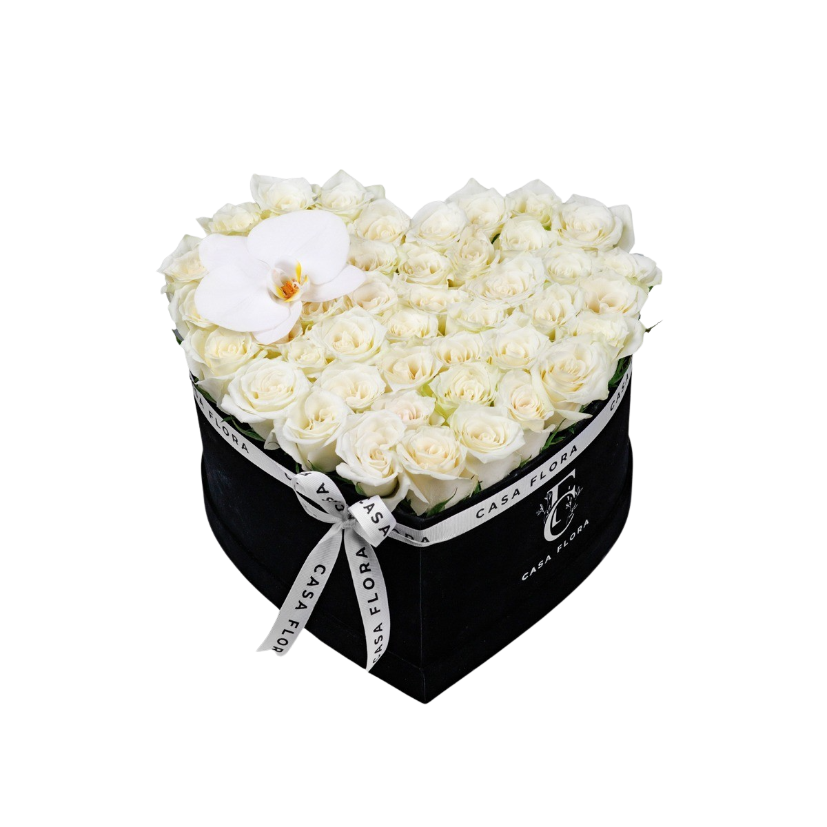 Forever peace with orchid