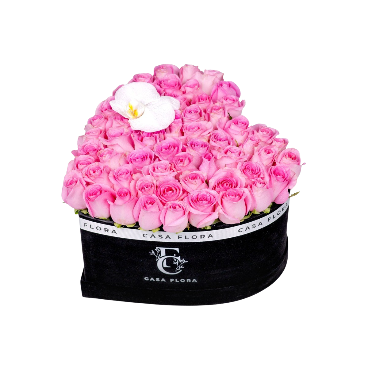 Forever pink with orchid