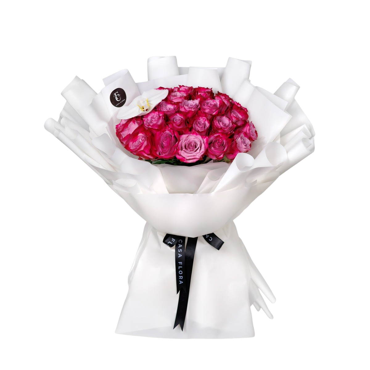 Midnight Romance Fuchsia + Orchid