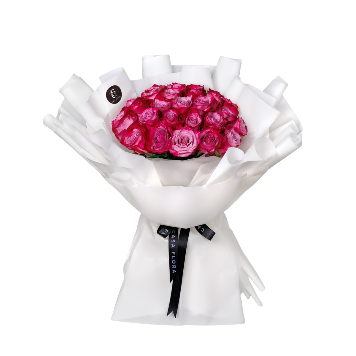 Midnight Romance Fuchsia