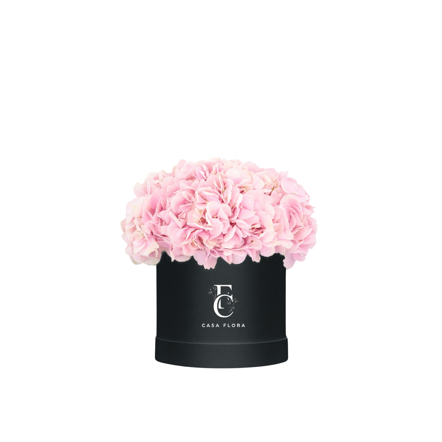 Pink Hydrangeas Box B Large
