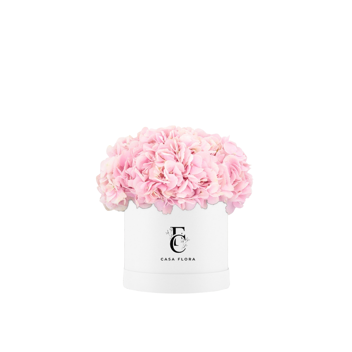 Pink Hydrangeas Box W Large
