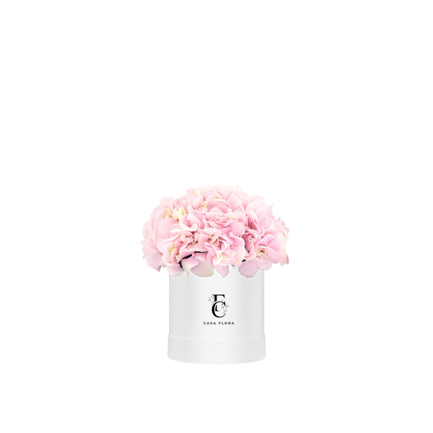 Pink Hydrangeas Box W Medium
