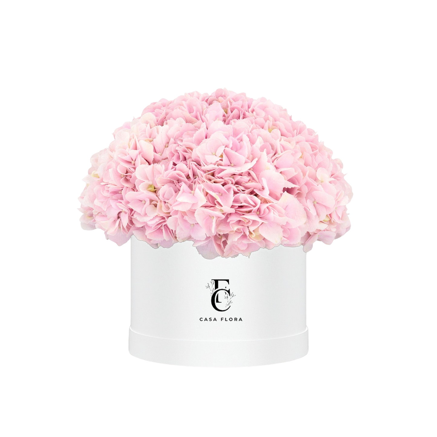 Pink Hydrangeas Box W X-Large
