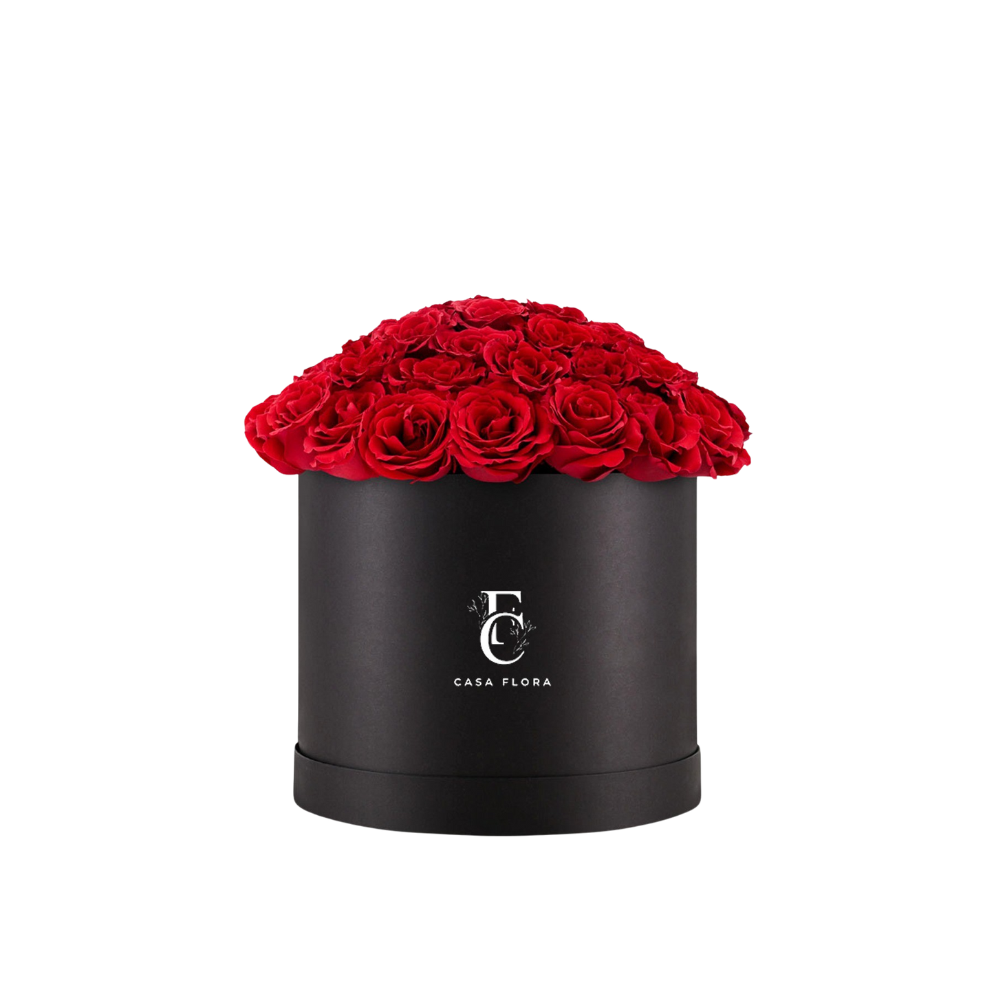 Red 55 Rose Box B X-Large