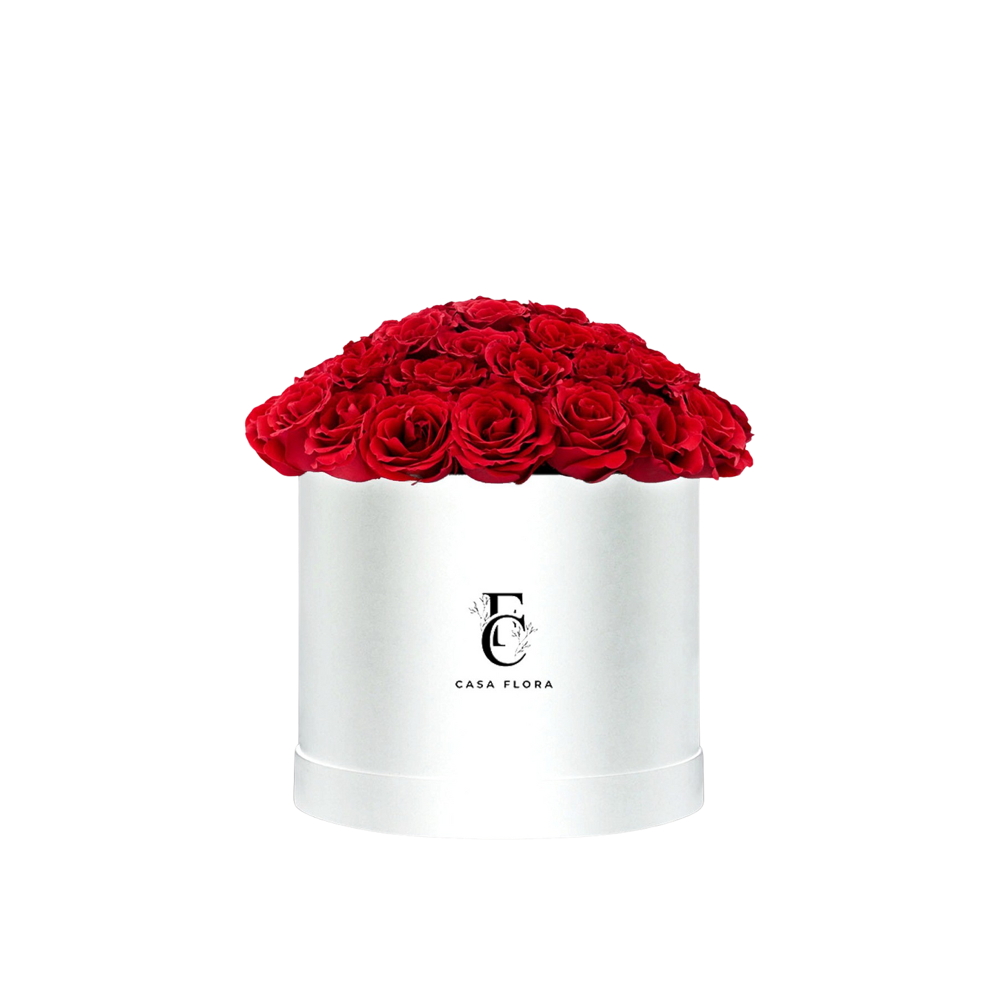 Red 55 Rose Box W X-Large