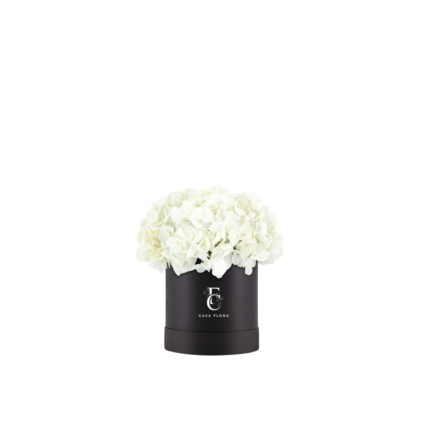 White Hydrangeas Box B Medium