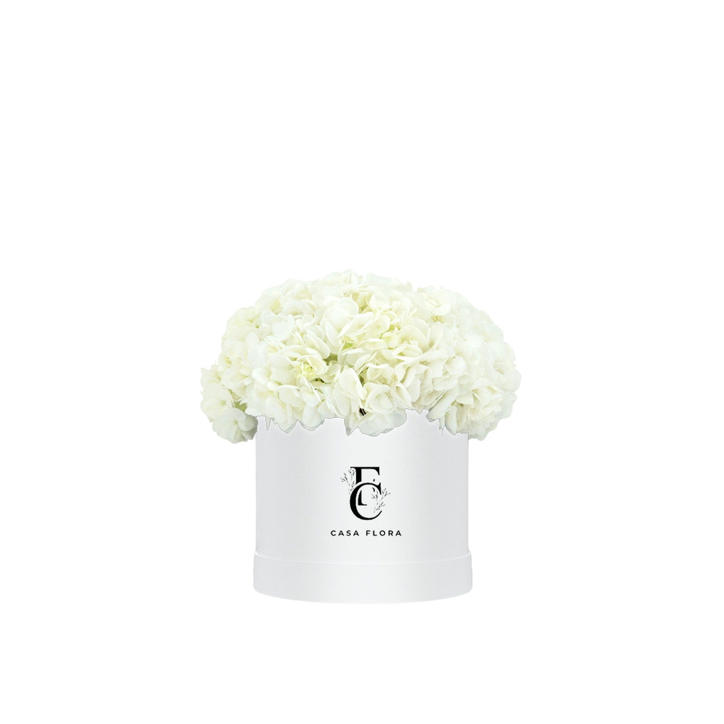 White Hydrangeas Box W Large