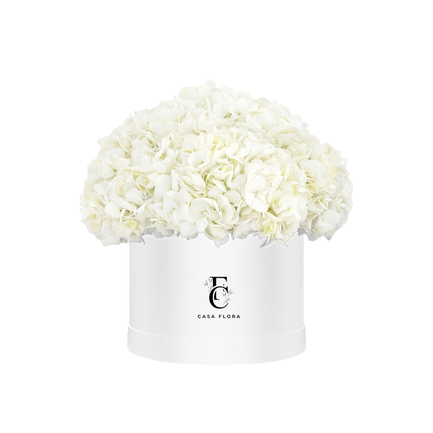 White Hydrangeas Box W X-Large