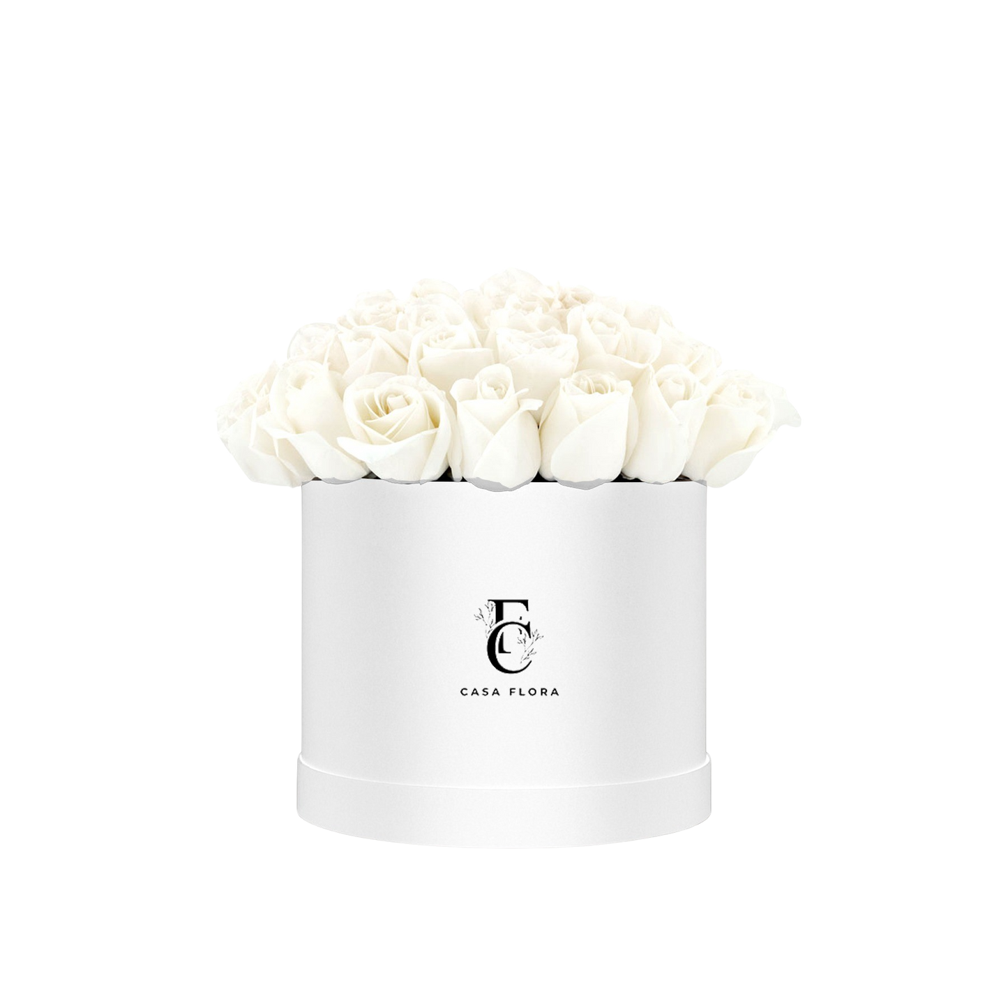 White 55 Rose Box W X-Large