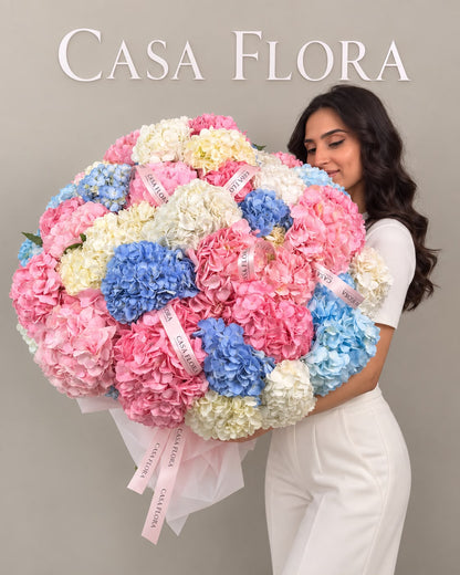 Royal Hydrangea