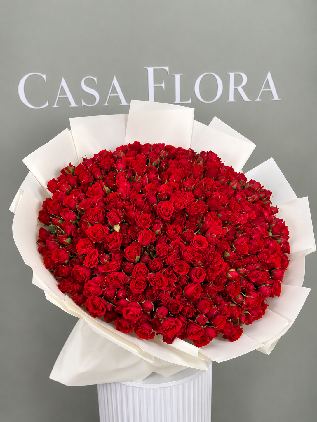 Premium Red Baby Roses