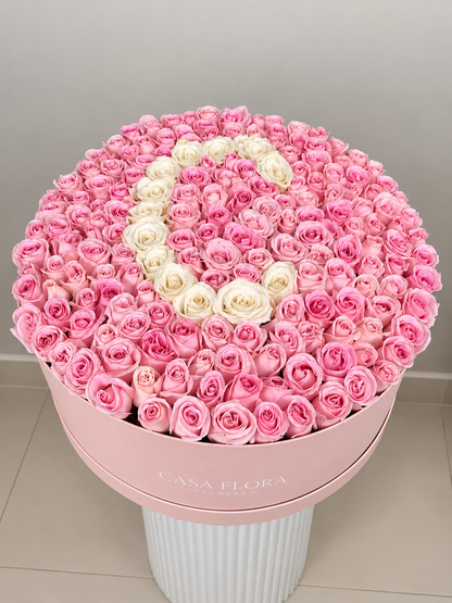 Letter Box Pink