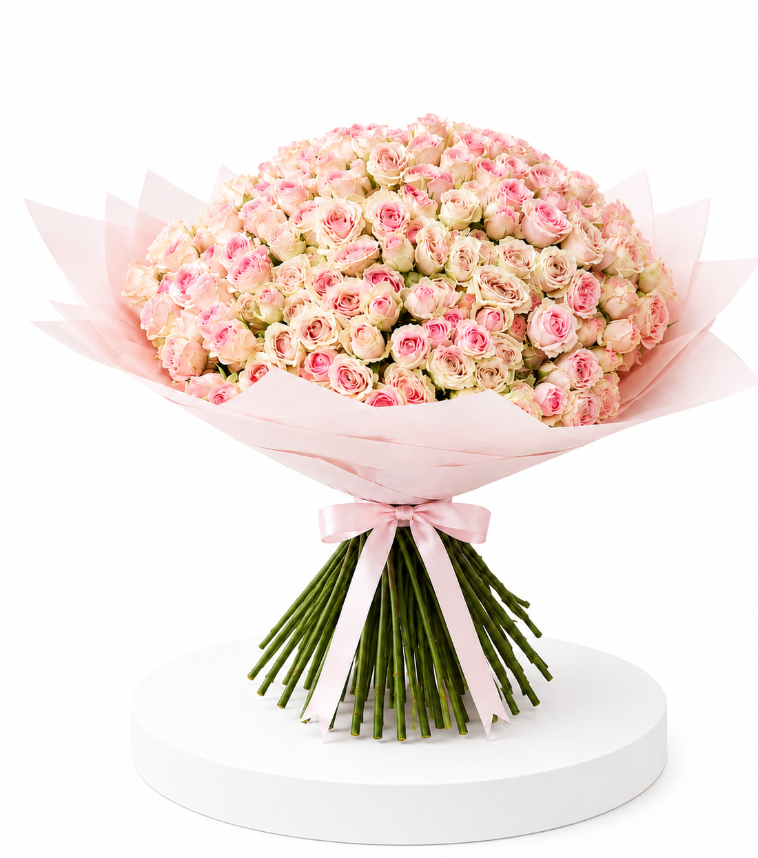 Royal Blush