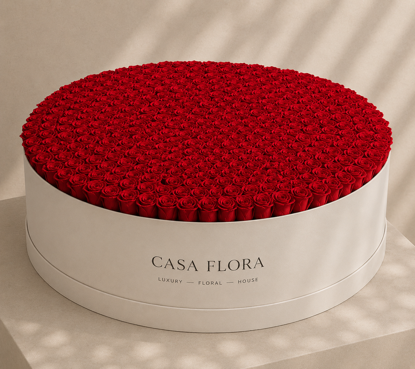 501 Premium Roses White Box XXXL