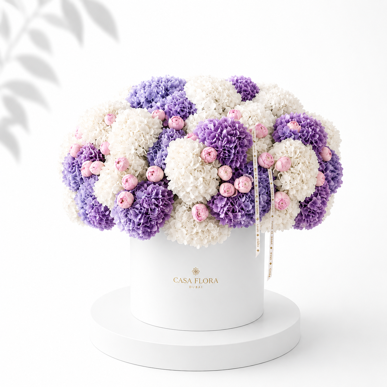 Lavender Grace
