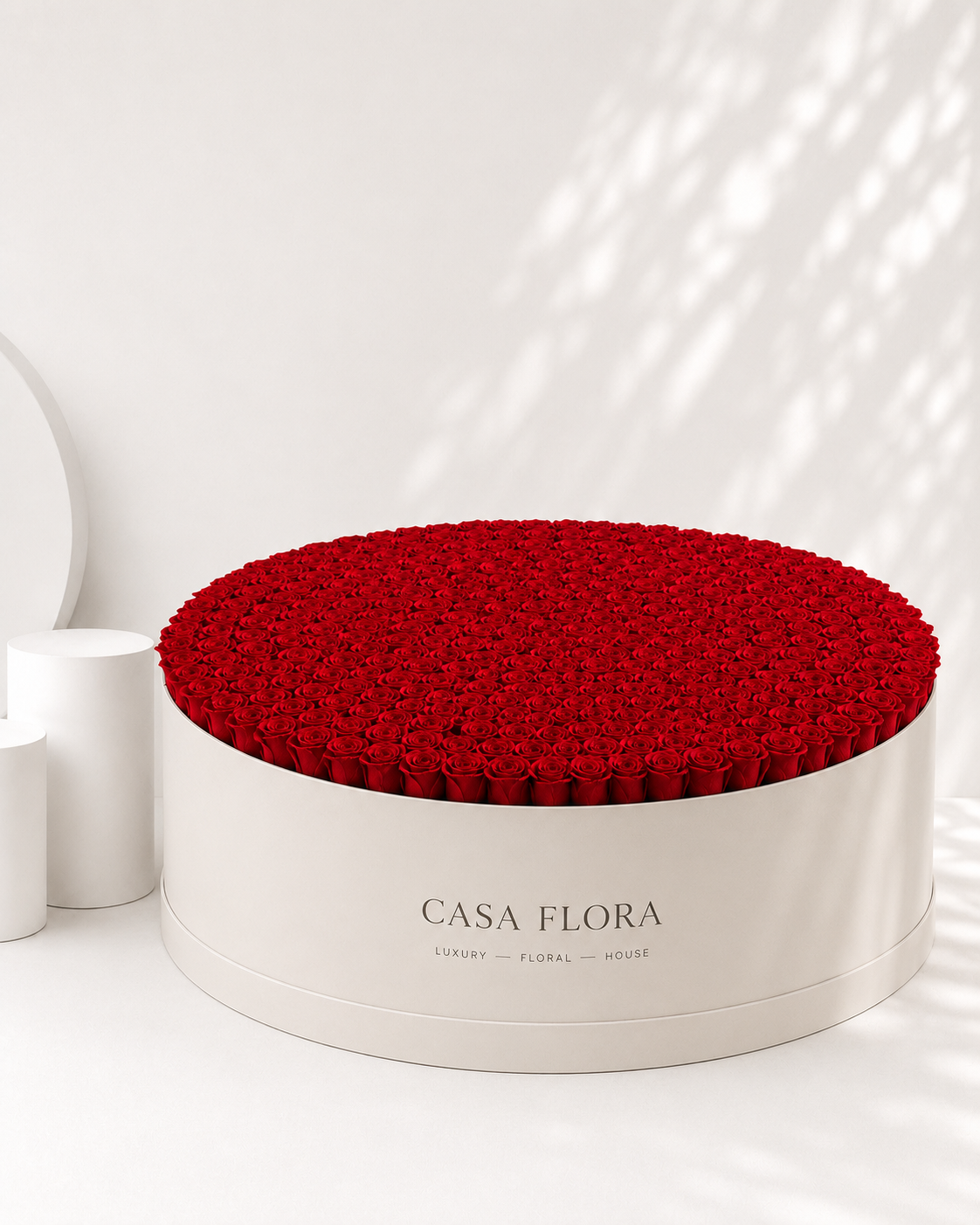365 Premium Roses White Box XXXL