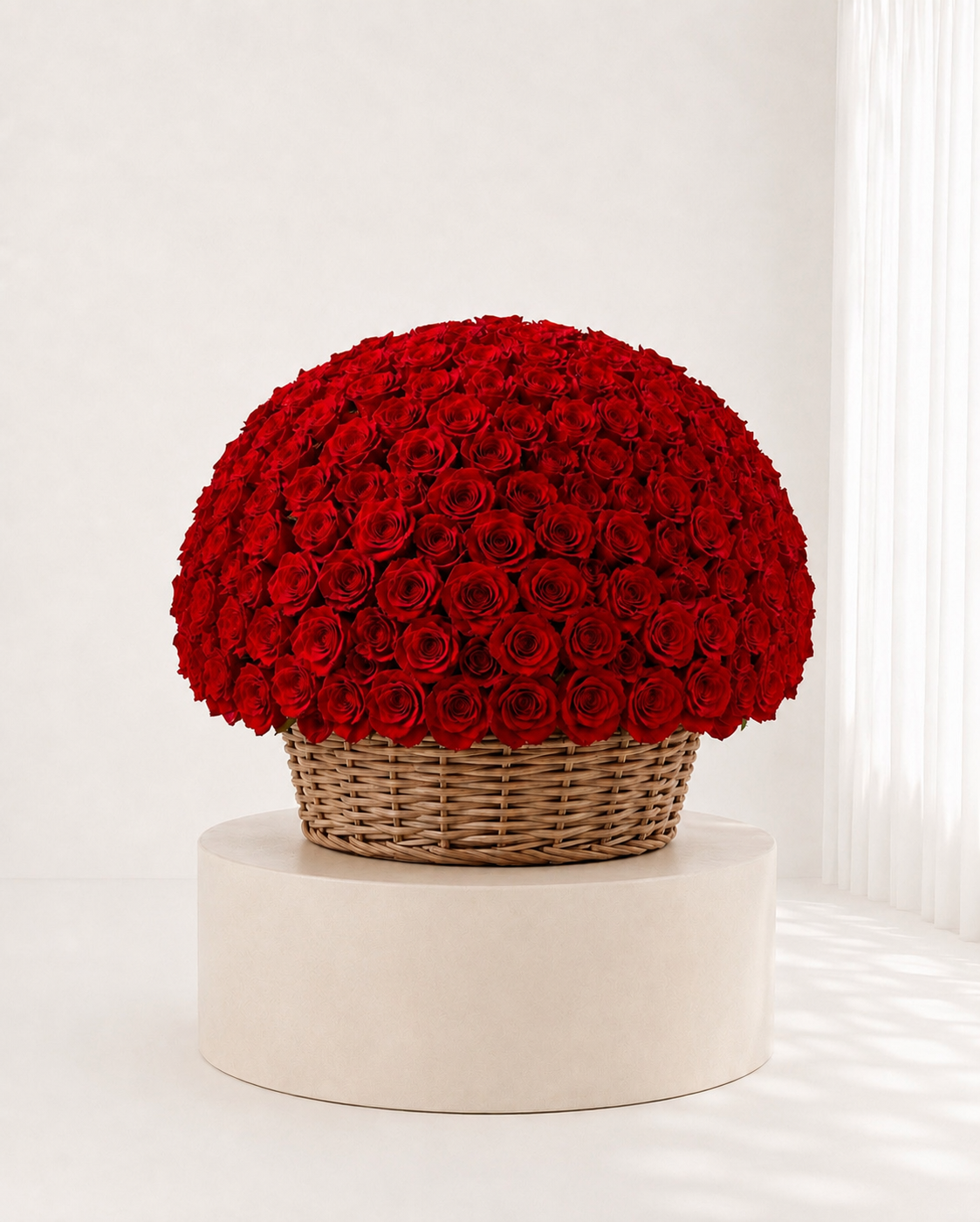 200 Roses