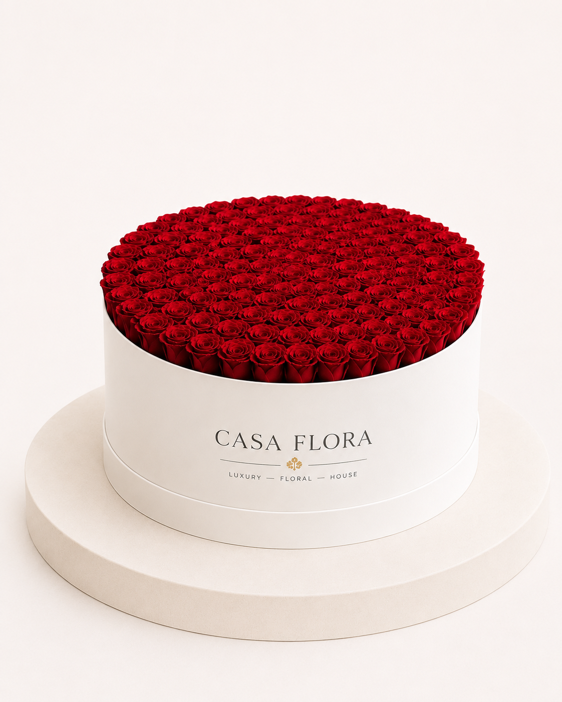 XL 250 Roses