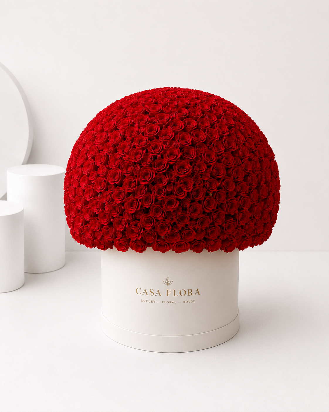 300/500 Red Rose Dome