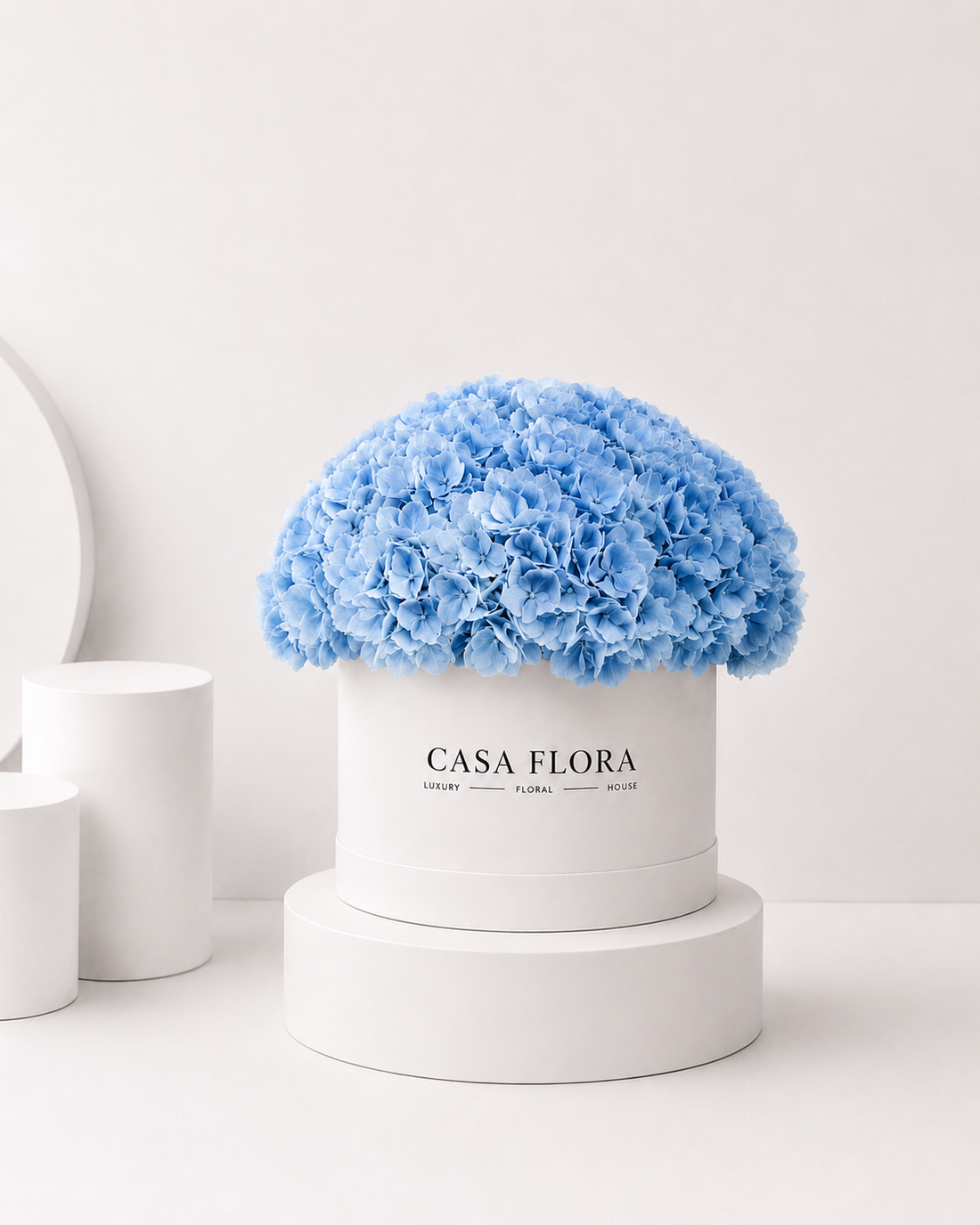 Blue Holland Hydrangea Box