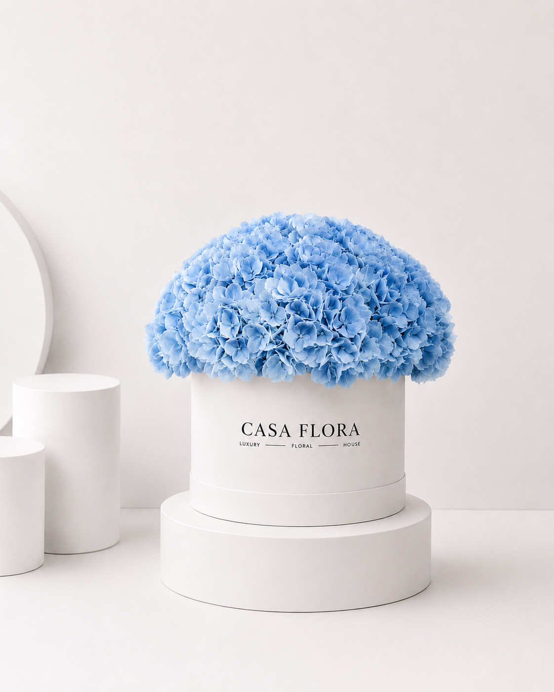 Blue Holland Hydrangea Box