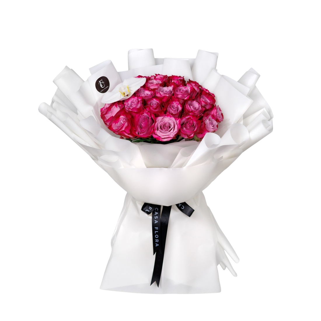 Midnight Romance Fuchsia + Orchid