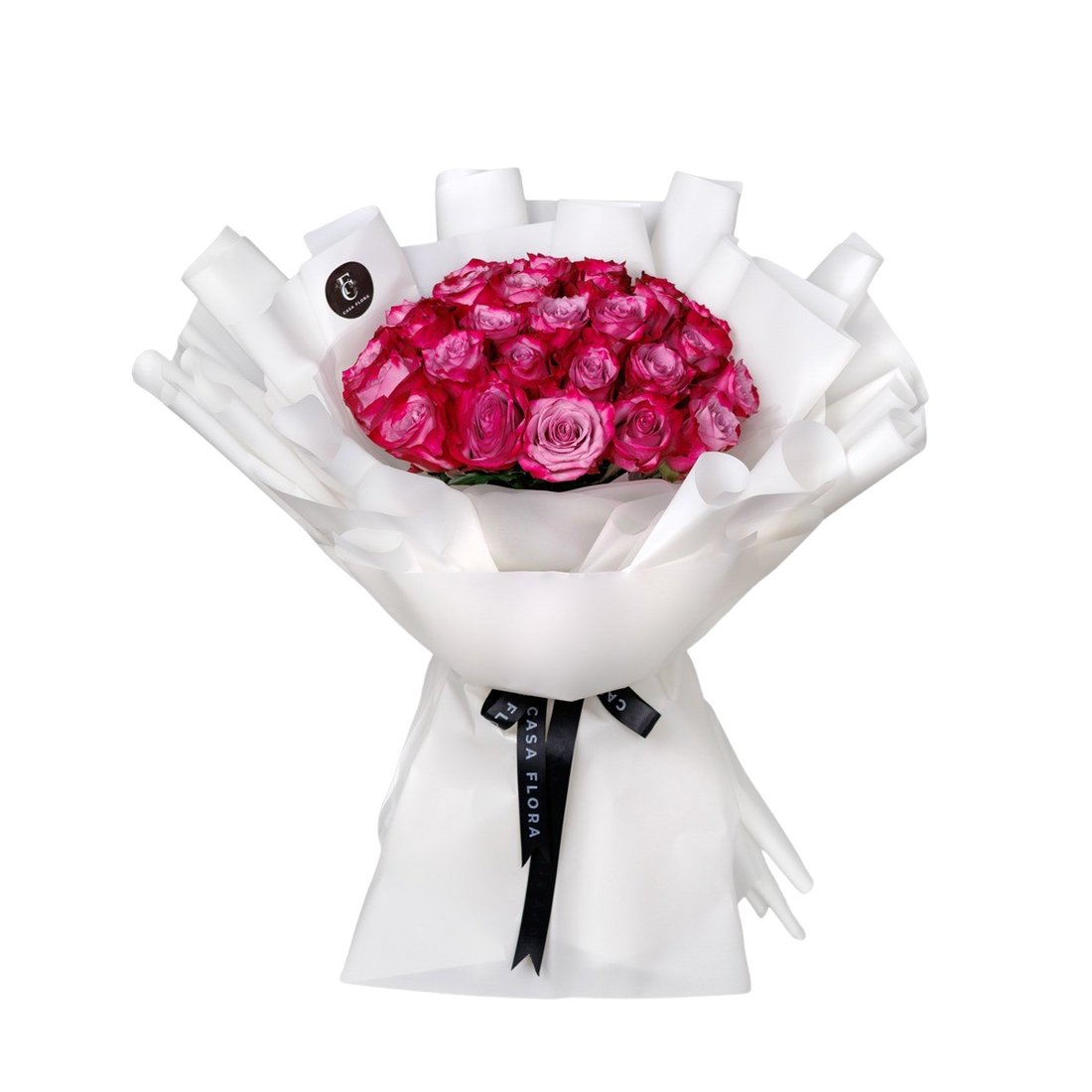 Midnight Romance Fuchsia