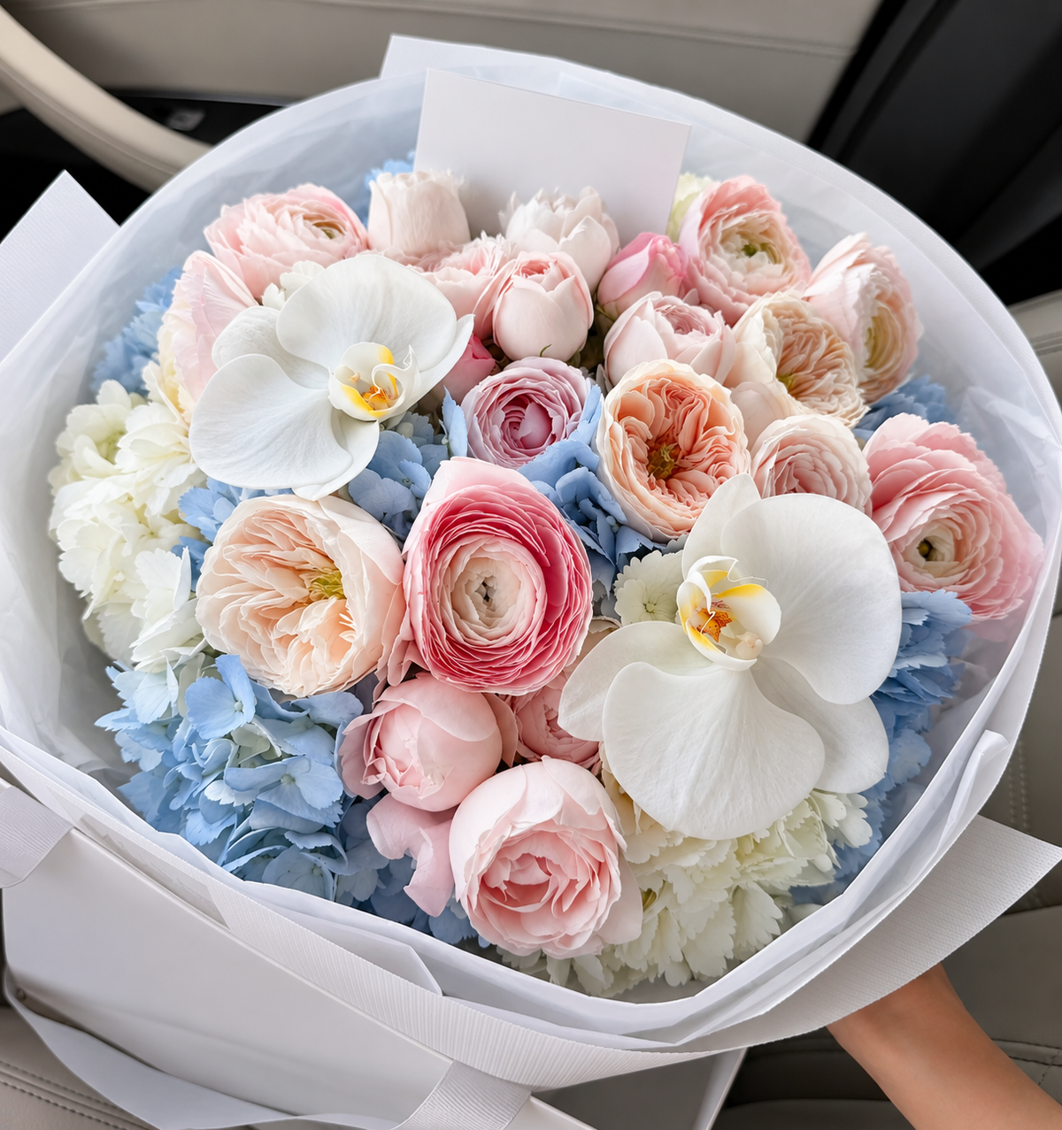 Soft Love
