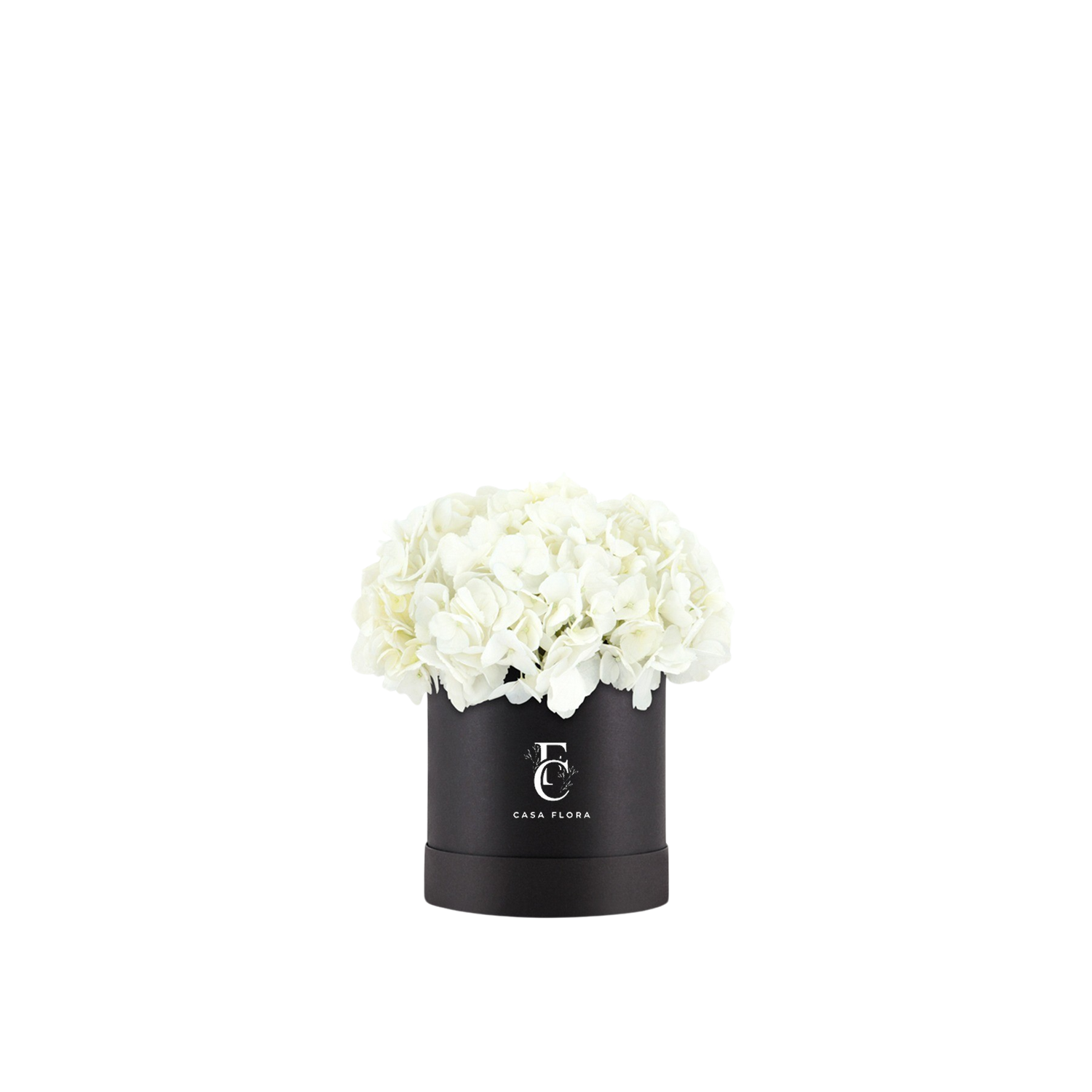 White Hydrangeas Box B Medium