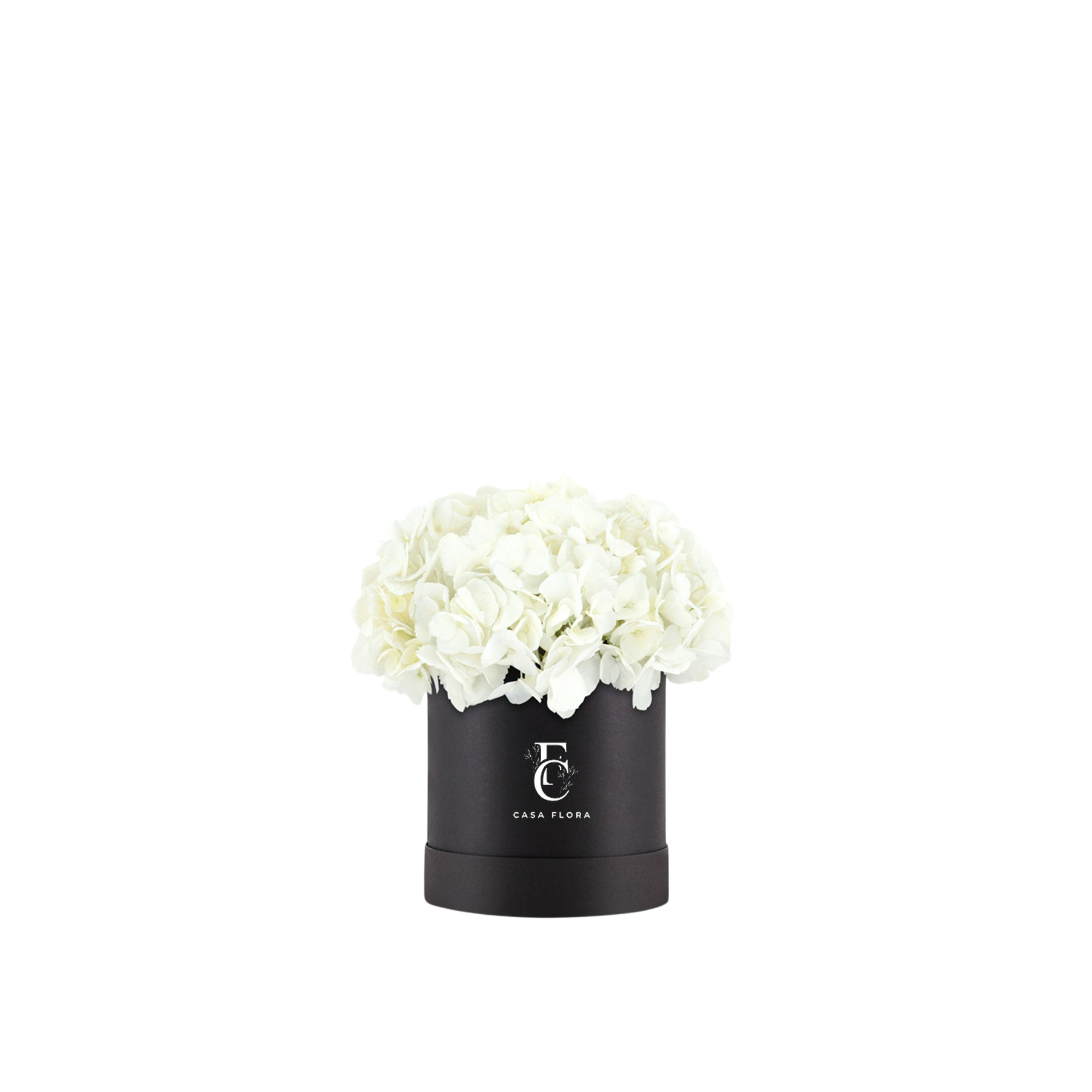 White Hydrangeas Box B Medium